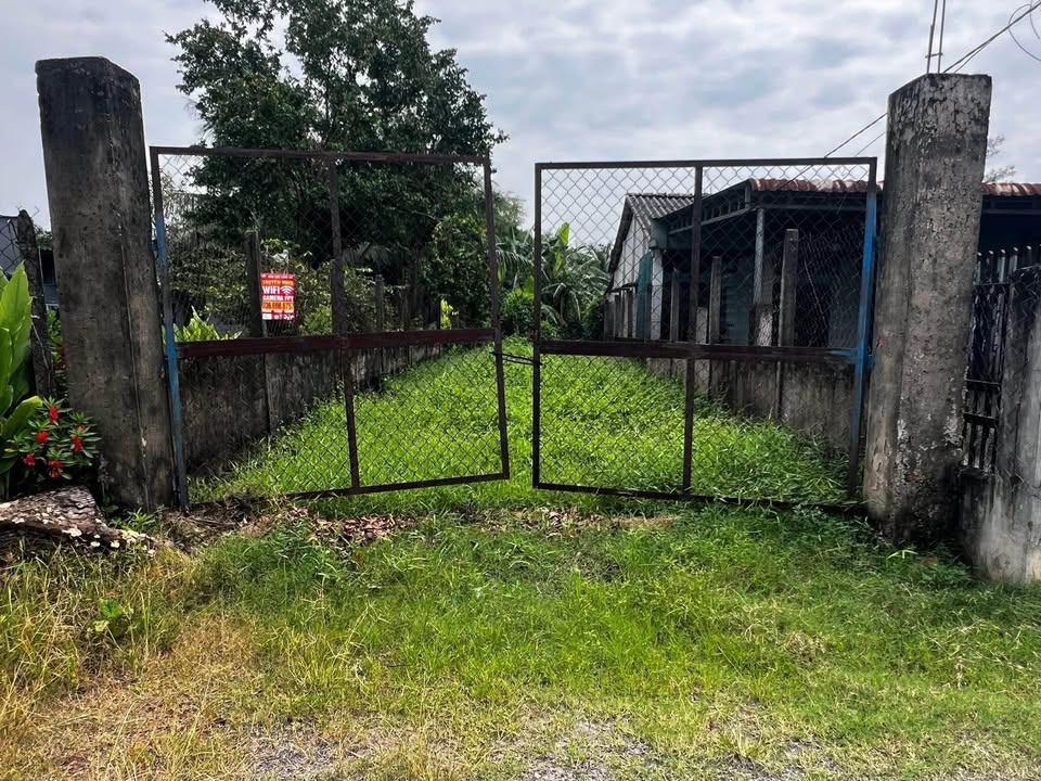 Đất thổ cư 180m² tại ấp Thôi Môi, Đức Hòa - Giá chỉ 1.19 tỷ, sổ đỏ chính chủ!