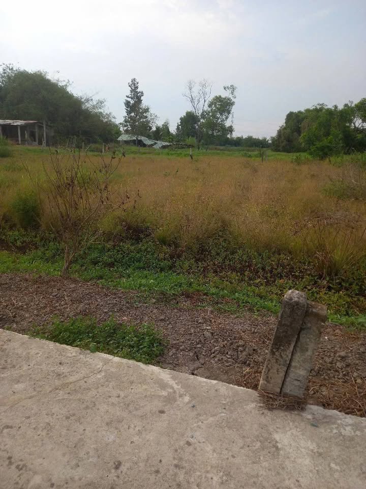 Đất thổ cư Tân Trụ Long An 125m² giá chỉ 370 triệu - Cơ hội đầu tư hấp dẫn!