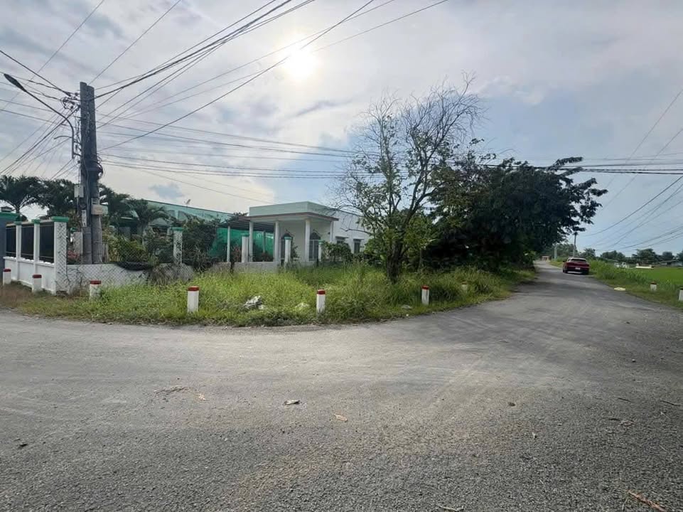 Đất thổ cư 175m² tại Ấp 1, Quê Mỹ Thạnh, Tân Trụ - Sổ hồng chính chủ, giá chỉ 1.1 tỷ!