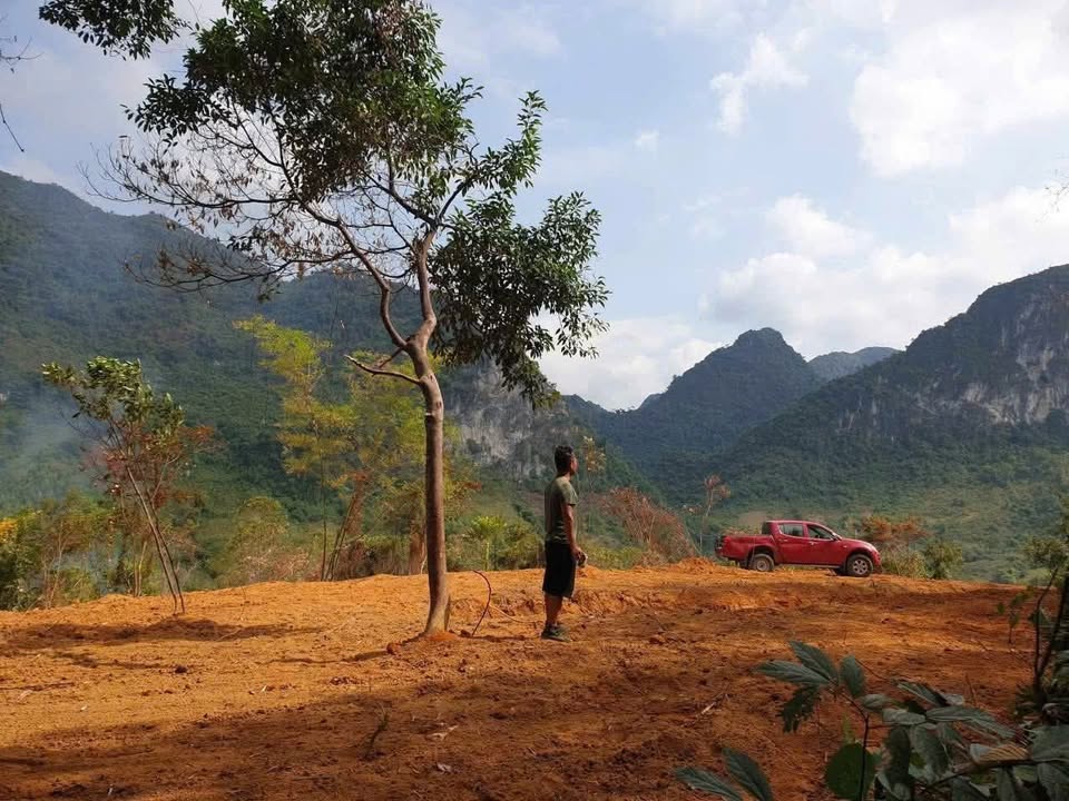 Đất Rừng Sản Xuất 7000m² Đồng Lâm - View triệu đô, cơ hội đầu tư hấp dẫn!