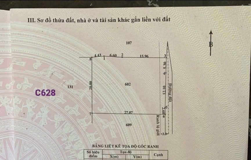 Đất vườn 540m² tại xã Tân Thạnh Đông, Củ Chi - Giá chỉ 2.85 tỷ!