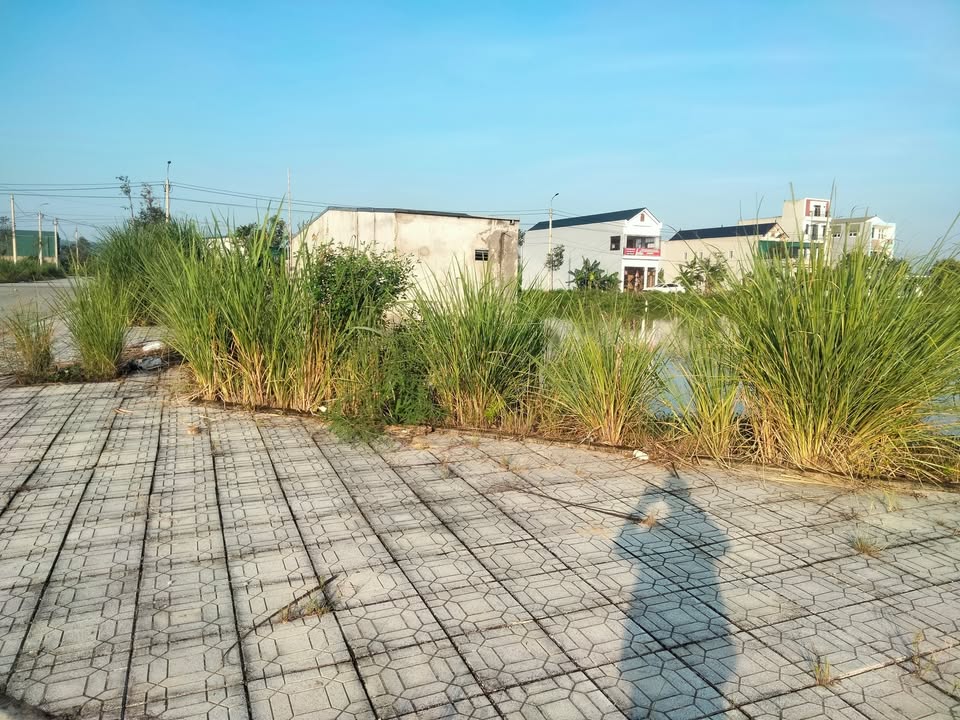 Đất đấu giá Đông Sơn Thanh Hóa 100m² giá 1.9 tỷ - Đầu tư tiềm năng cao!