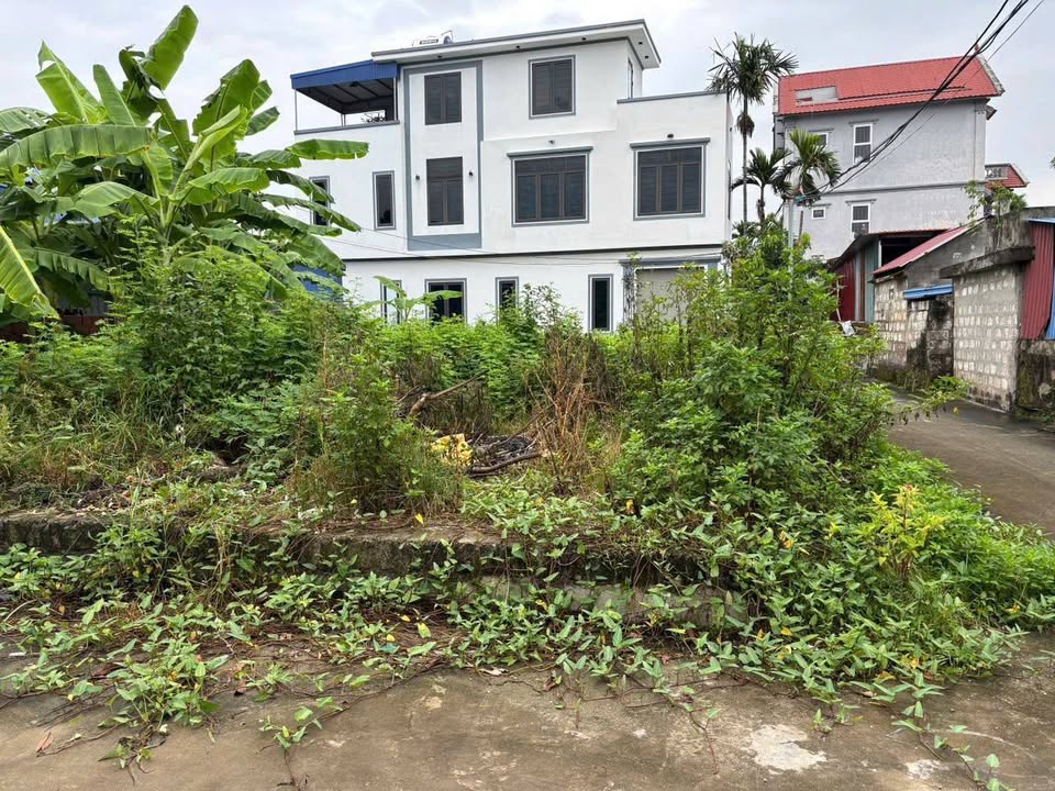 Đất nền Dương Quan, Thủy Nguyên, 112m² giá 2.9 tỷ - Đầu tư sinh lời ngay!