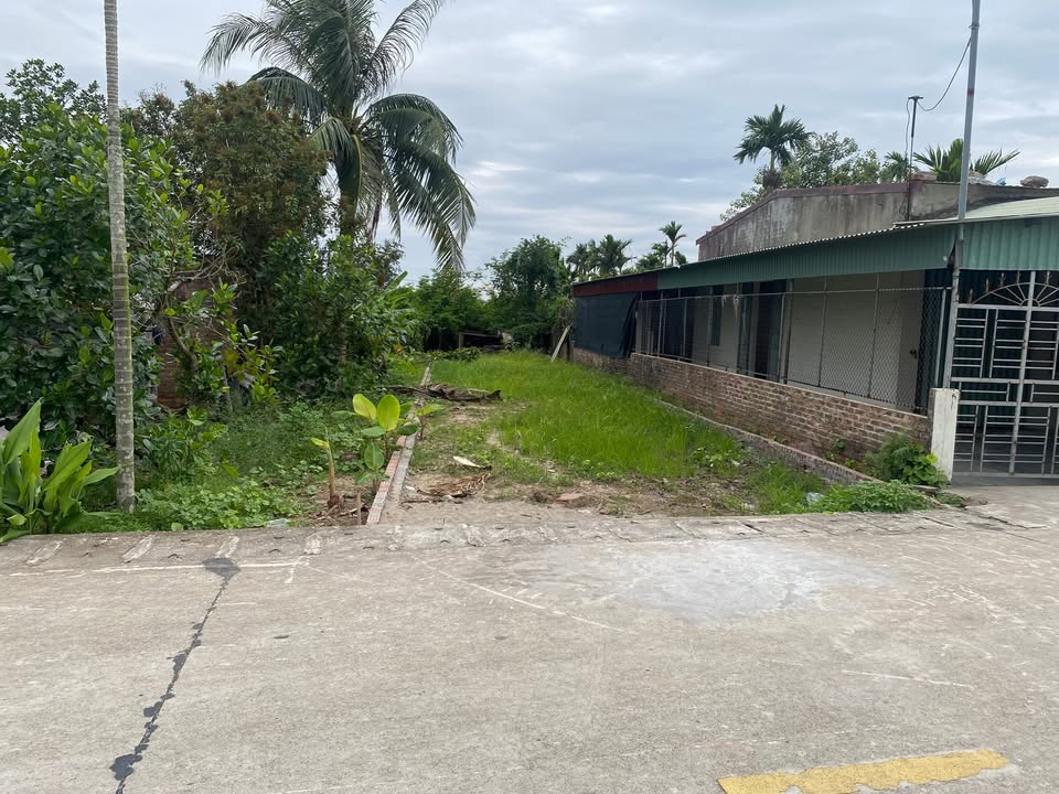 Đất nền Tiên Tiến, Tiên Lãng 142m² giá 1 tỷ - Đầu tư sinh lời cao!