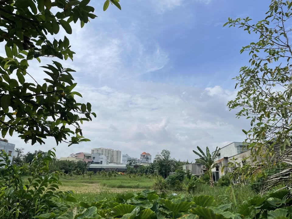 Lô đất 3.032m² Bình Chiểu giá 60.64 tỷ - Đầu tư sinh lời ngay!