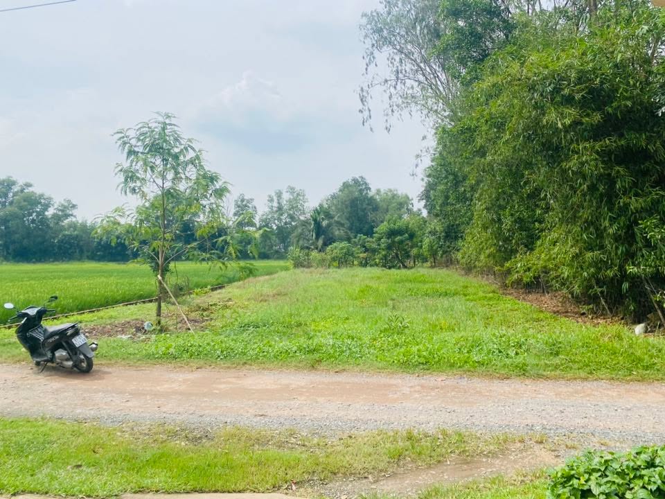 Đất nền Vĩnh Thanh Nhơn Trạch 713m² giá 5 tỷ - Cơ hội vàng để đầu tư!