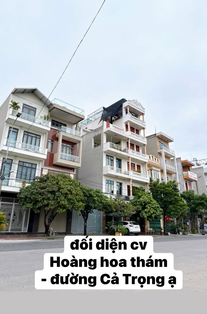 Đất đường Cả Trọng, Bắc Giang 76m² giá 1x tỷ - View công viên thoáng đãng!