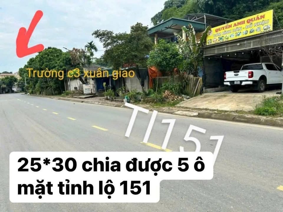 Đất mặt phố Tỉnh Lộ 151, Bảo Thắng, 750m² - Đầu tư sinh lời ngay lập tức!