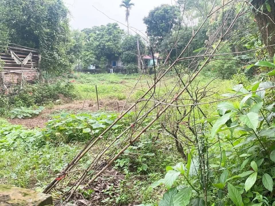 Đất nền Vũ Bản, Bình Lục 740m² - Gần cổng trường cấp 3B Bình Lục, giá thỏa thuận!