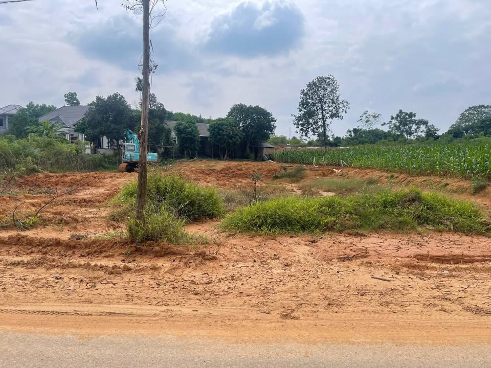 Đất thổ cư Phú Hộ 150m² giá 1.15 tỷ - Đầu tư sinh lời ngay!