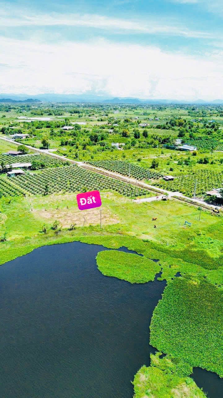 Đất Farm Hàm Liêm 1100m² giá 590 triệu - View hồ tuyệt đẹp, không gian chill!