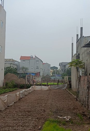 Đất Lệ Chi Gia Lâm 94m² giá 4 tỷ - Đường ô tô vào tận nơi!