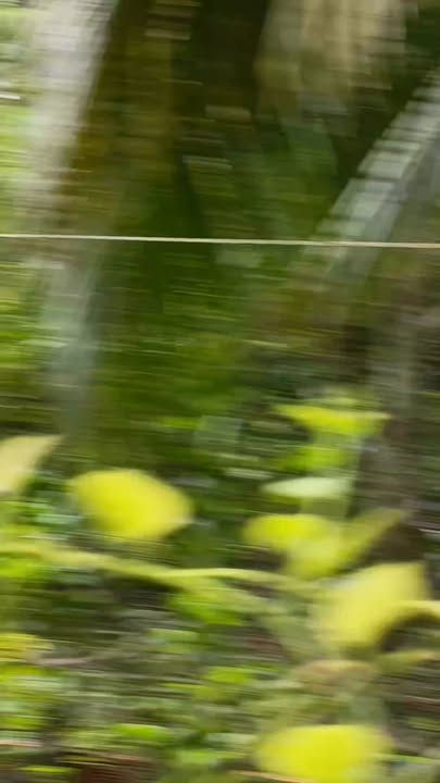 Đất vườn tạp Phú An, Cai Lậy 2300m² - Giá chỉ 1.7 tỷ, cơ hội đầu tư tuyệt vời!