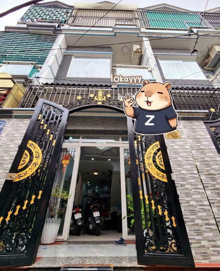 Nhà phố hẻm xe hơi đường Tám Danh, quận 8, 48.6m² giá 6.6 tỷ - Chính chủ bán gấp!