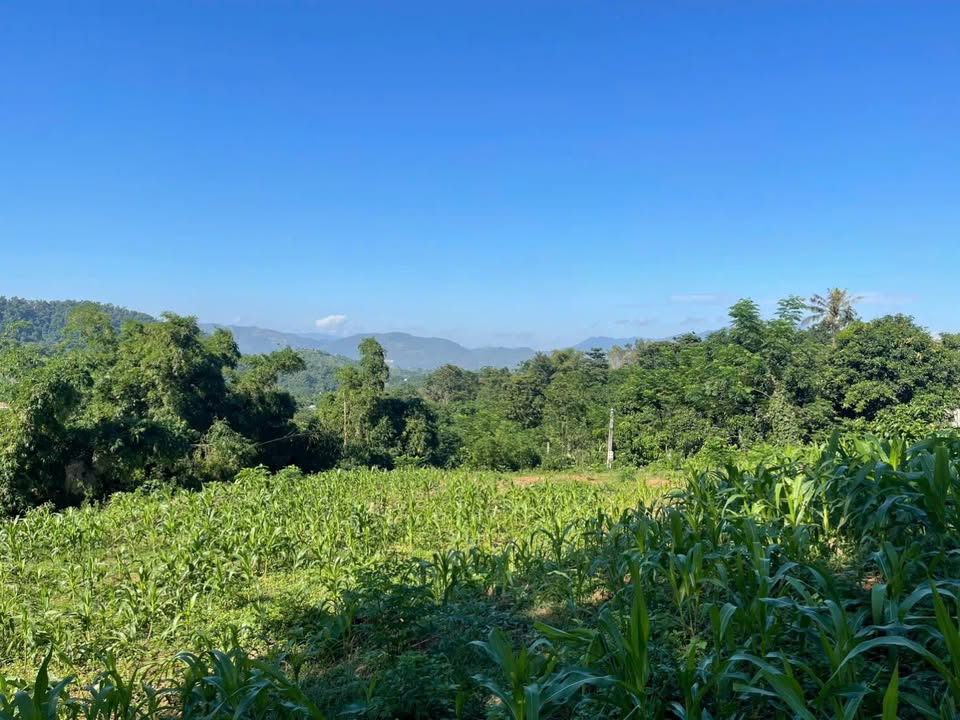 Đất nền Suối Hai, Ba Vì 887m² giá 3 tỷ - Cơ hội vàng đầu tư!