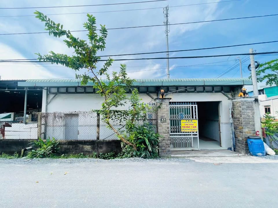Nhà kho Củ Chi 317m² giá 4 tỷ - Sổ hồng riêng, cho thuê ngay!