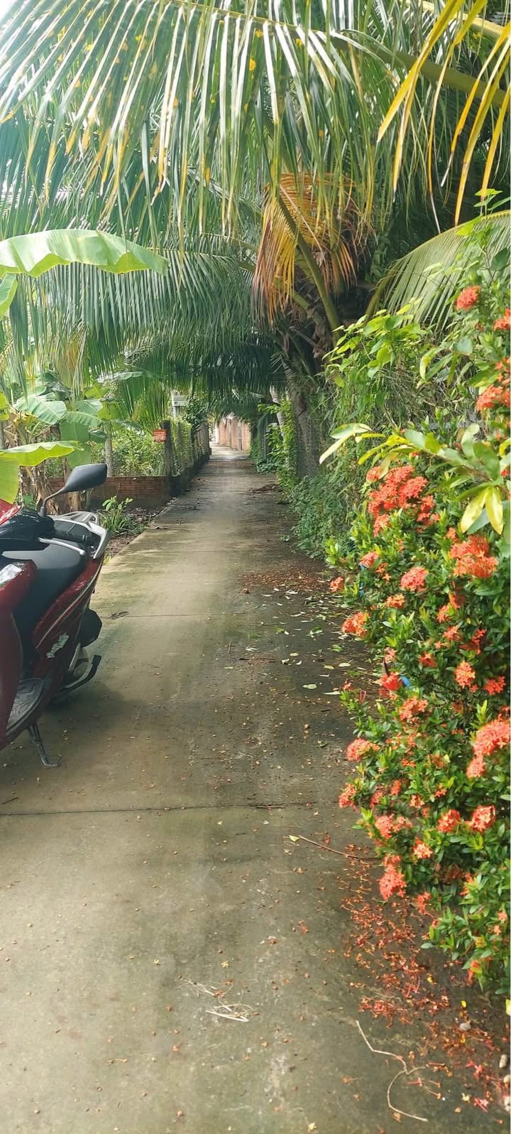 Đất nền ấp Phước Thuận, Mỹ Tho 105m² giá 750 triệu - Cơ hội đầu tư tuyệt vời!