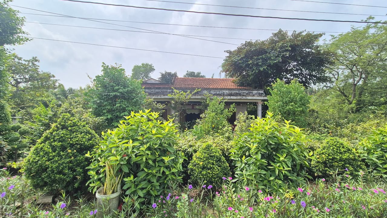 Nhà vườn mặt tiền Kinh Dương Vương Tân An 832m² giá 3.2 tỷ - Không thể bỏ lỡ!