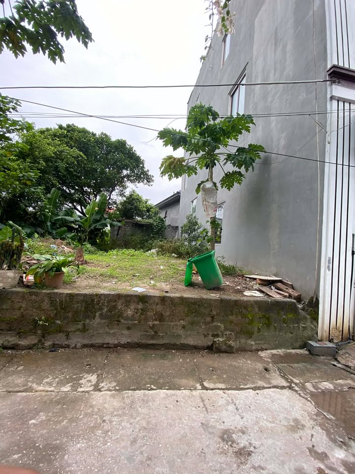 Đất nền Dương Tảo - Nỏ Bạn, 50m² giá 3 tỷ - Sổ đỏ chính chủ, sang tên nhanh!