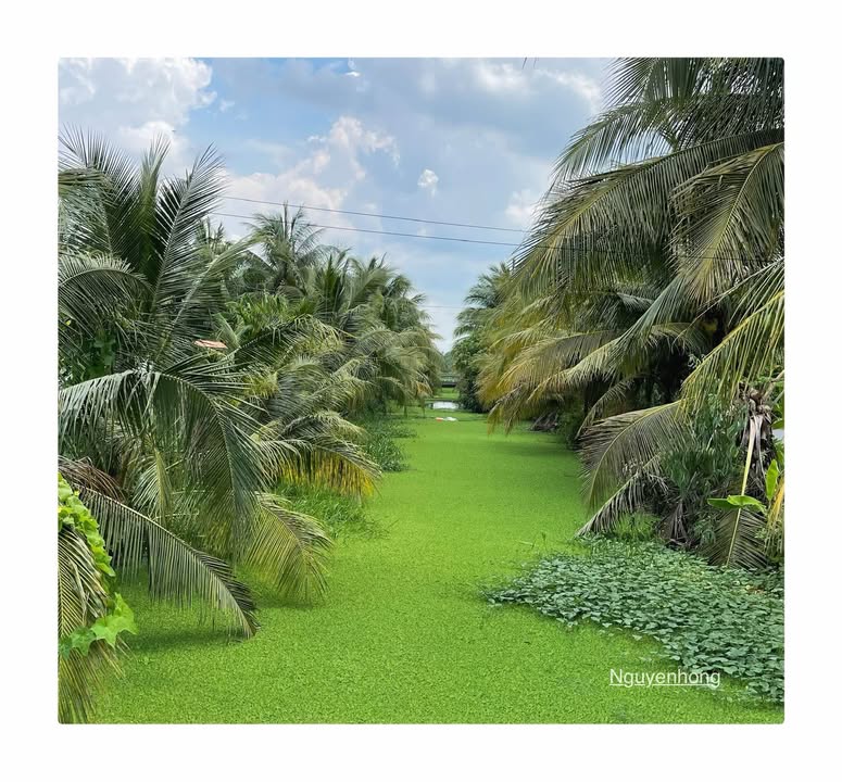 Đất mặt tiền hẻm 256 Long Đức 250m² giá 610 triệu - Đầu tư sinh lời ngay!