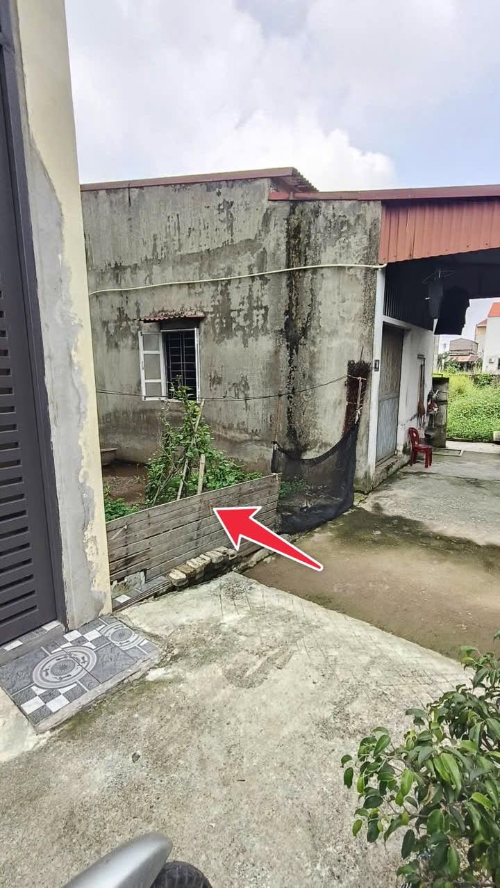 Đất Thư Phú, Thường Tín 51.5m² giá 2.45 tỷ - Nở hậu đón tài lộc!