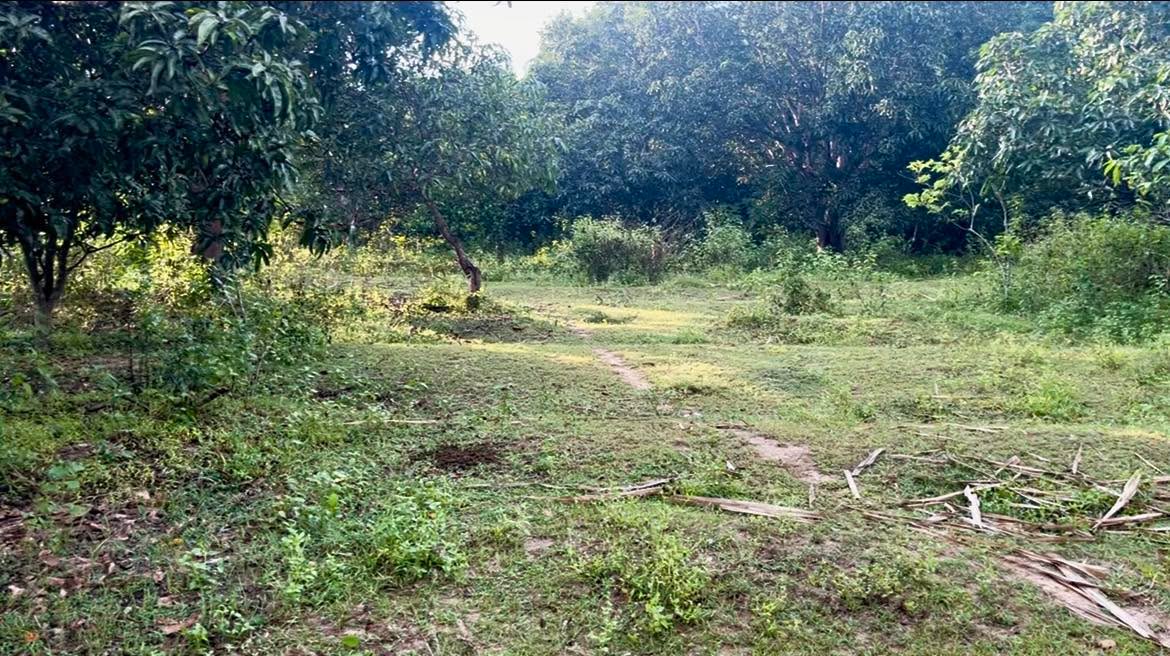 Đất thổ cư Cam Phước Tây 4142m² giá 2 tỷ - Đầu tư sinh lời ngay!