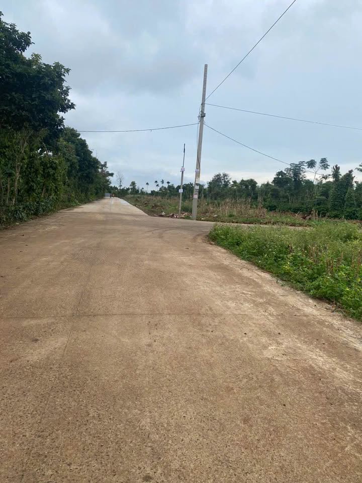 Đất nền Cư Suê, Đắk Lắk 140m² giá 1.59 tỷ - Đầu tư sinh lời ngay!