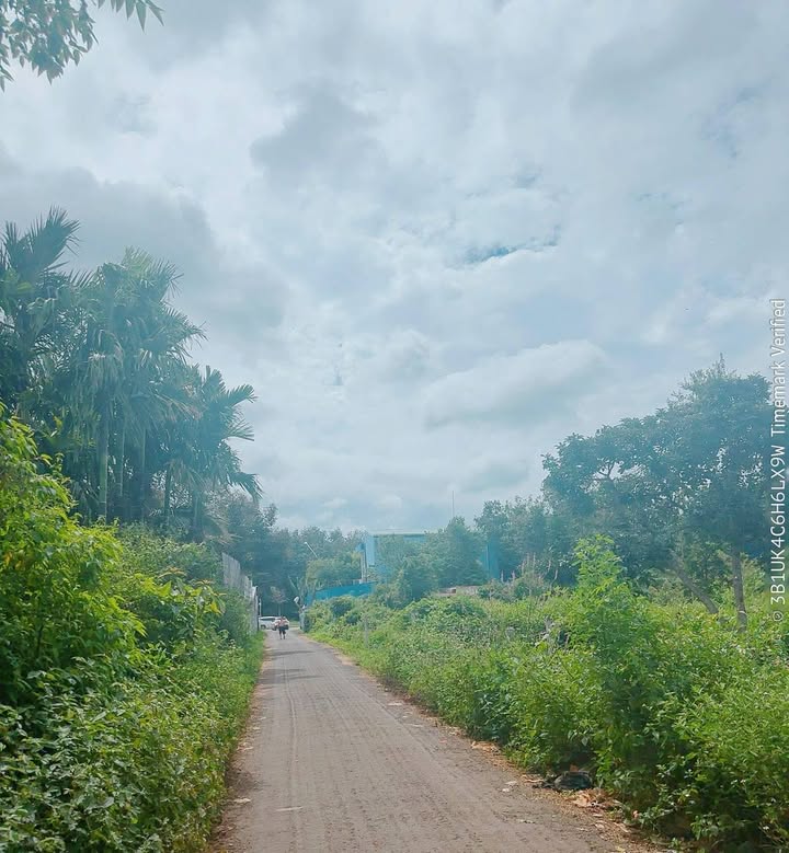 Đất nền Buôn Ko Tam - 185m² giá 1 tỷ - Đường nhựa rộng, khu dân cư đông đúc!