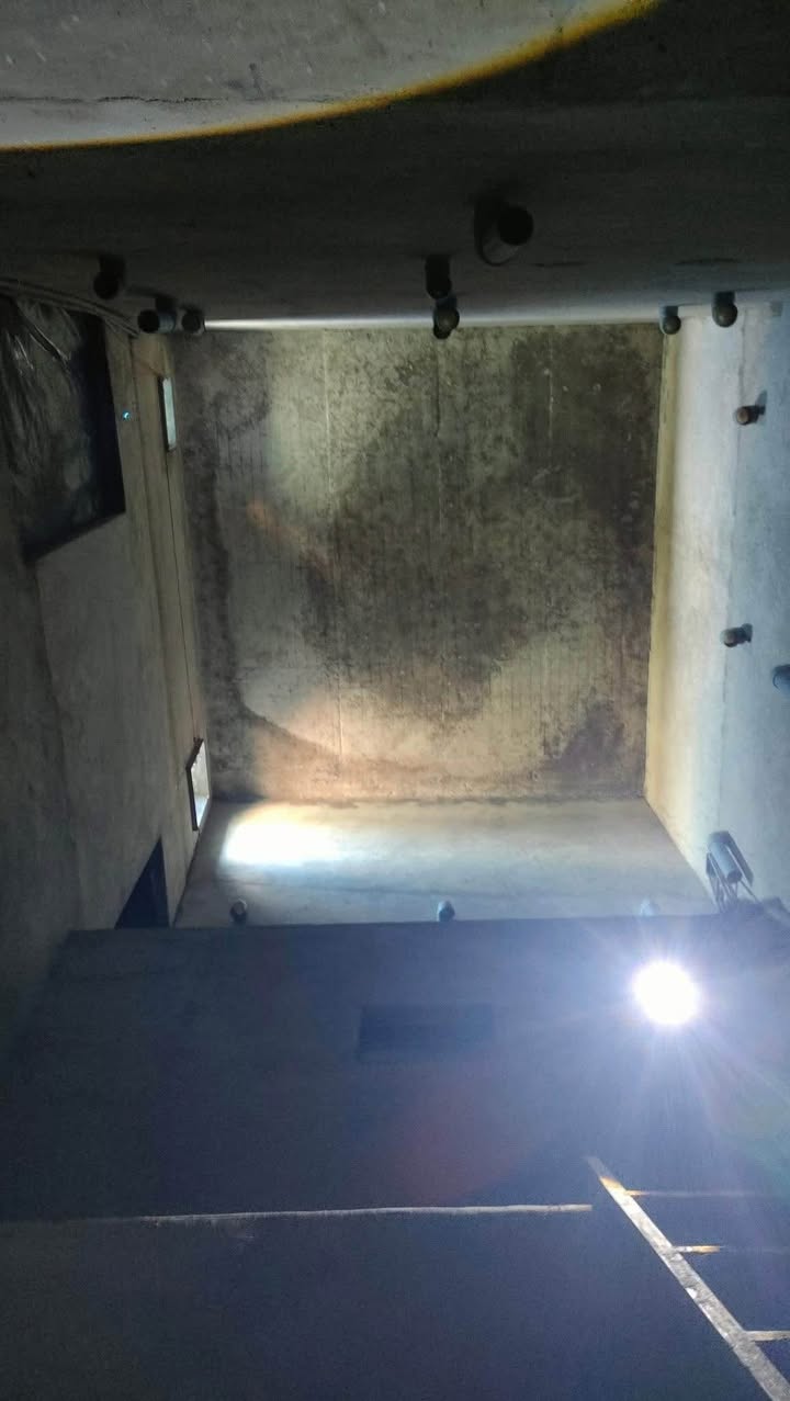 Nhà Cấp 4 và Nhà Yến Kinh Doanh Tại Đường Dã Tượng, 350m² - Đầu Tư Hấp Dẫn!