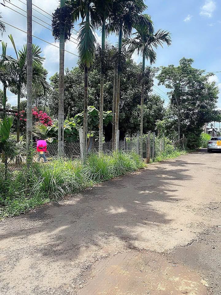 Đất nền phường Ea Kao, Buôn Ma Thuột 350m² giá 735 triệu - Khu dân cư ổn định!