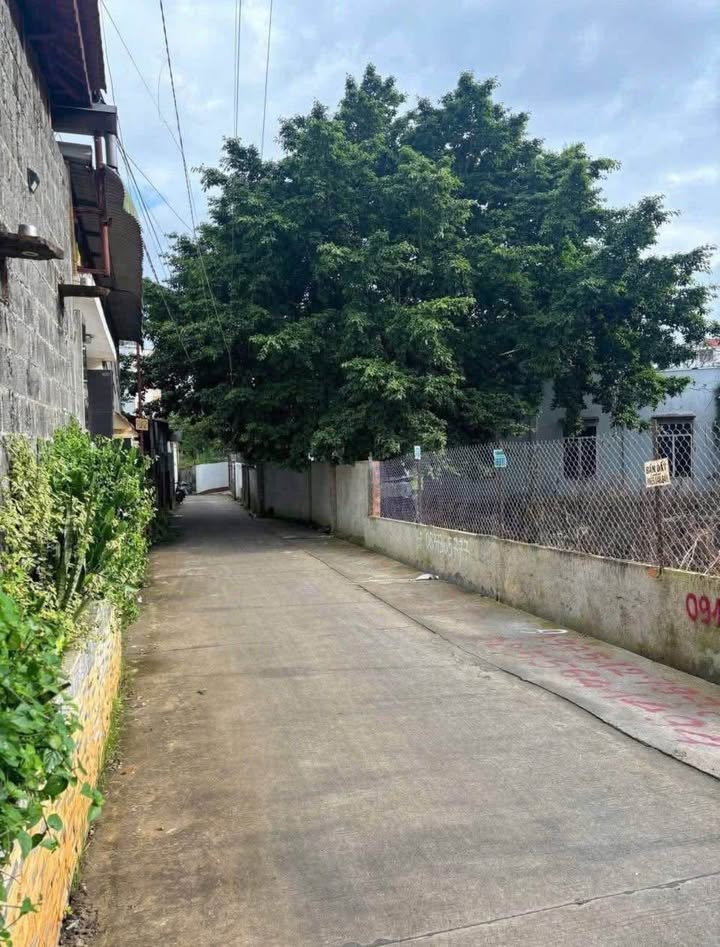 Đất hẻm ô tô Nguyễn Công Trứ, Buôn Ma Thuột 56m² giá 1.75 tỷ - Sổ hồng chính chủ!