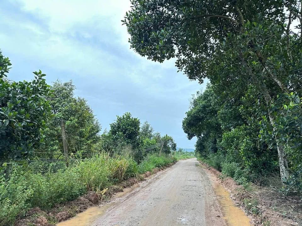 Đất nền chính chủ xã Ea Păl, huyện Ea Kar, Đắk Lắk 300m² - Đầu tư sinh lời ngay!