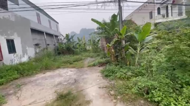 Đất liền kề Ngọc Lương, Yên Thủy 100m² giá 3 tỷ - Cơ hội đầu tư tuyệt vời!