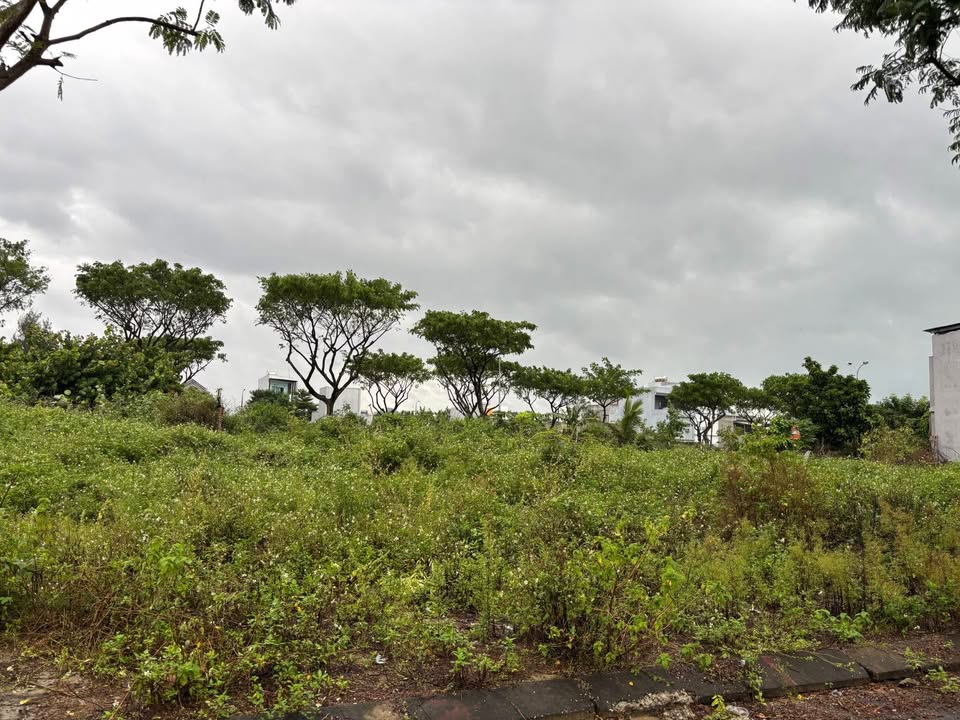 Đất nền Tái Định Cư Tân Trà Đà Nẵng 82,5m² giá 4,35 tỷ - Tiềm năng phát triển cao!