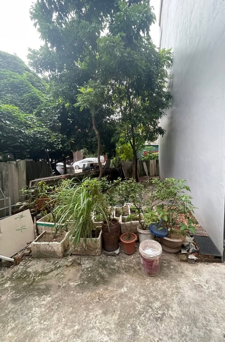 Đất nền Đại Mỗ 35m² giá 5.95 tỷ - Ô tô đỗ cửa, ngõ thông thoáng!