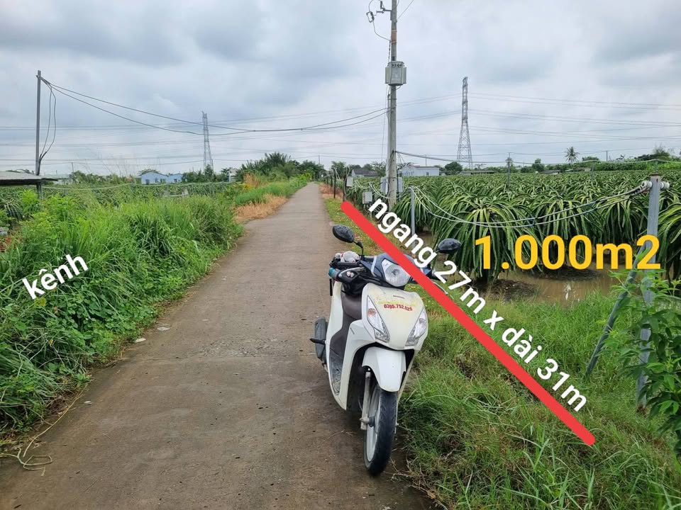 Đất thổ cư Vĩnh Công, Châu Thành 1000m² giá 1.25 tỷ - Đường ô tô thuận lợi!