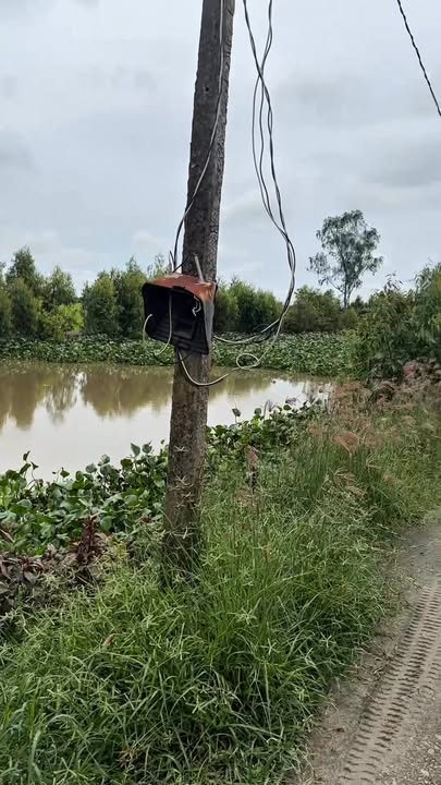 Đất nền xã Bình Hòa Trung 20000m² giá 2.15 tỷ - Sẵn sàng chuyển nhượng ngay!