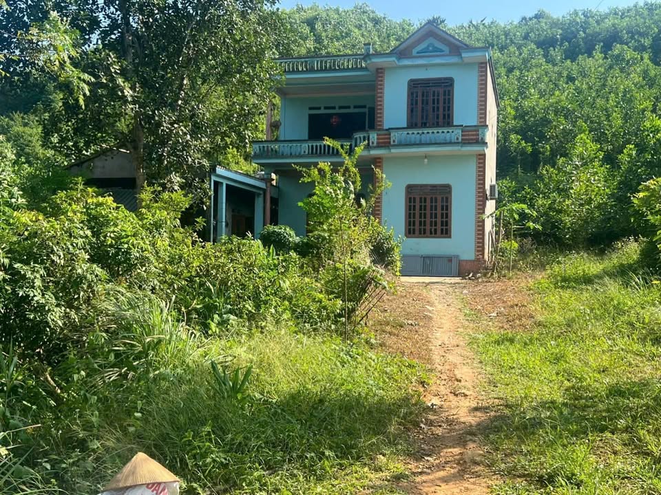 Nhà 2 tầng 100m² + 7500m² đất rừng tại Phú Đô - Giá chỉ 1 tỷ - Cơ hội đầu tư tuyệt vời!