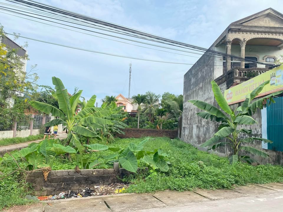 Đất mặt đường Liên Xã Lương Phú 97m² giá thỏa thuận - Đầu tư sinh lời cao!