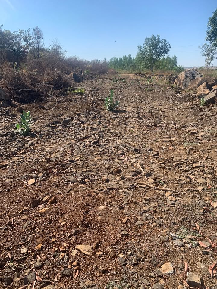 Đất cây trồng 13.385m² tại Suối Nhum, huyện Bắc Bình - Giá chỉ 1.1 tỷ!