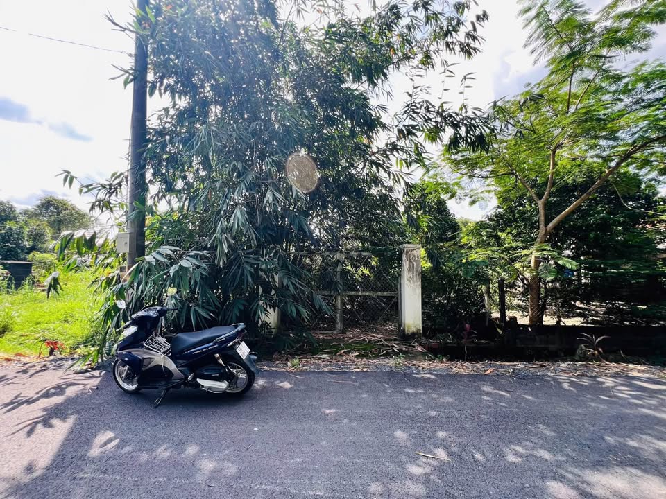 Đất Nhuận Đức Củ Chi 428m² giá 2 tỷ - Mặt tiền đường nhựa, sổ đỏ chính chủ!