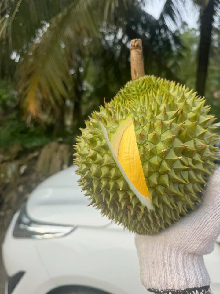 Đất mặt tiền đường Lê Lai, An Phú, Ninh Kiều, 191m² - Đầu tư sinh lời!