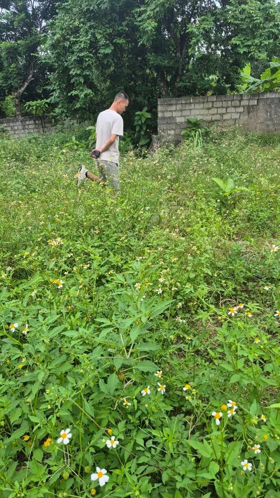 Đất nền khu phố 2, Bắc Sơn, Bỉm Sơn 96m² giá 1 tỷ - Vị trí đắc địa, đầu tư sinh lời!