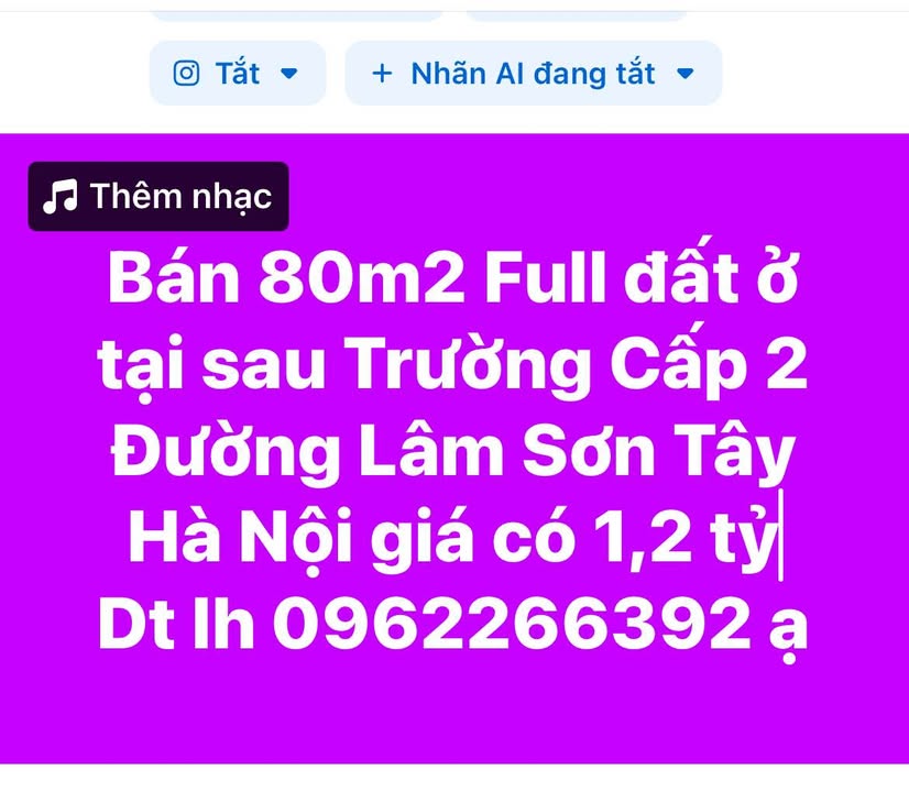 Lô đất 80m² Đường Lâm, Sơn Tây, 1.2 tỷ - Cơ hội đầu tư tuyệt vời!