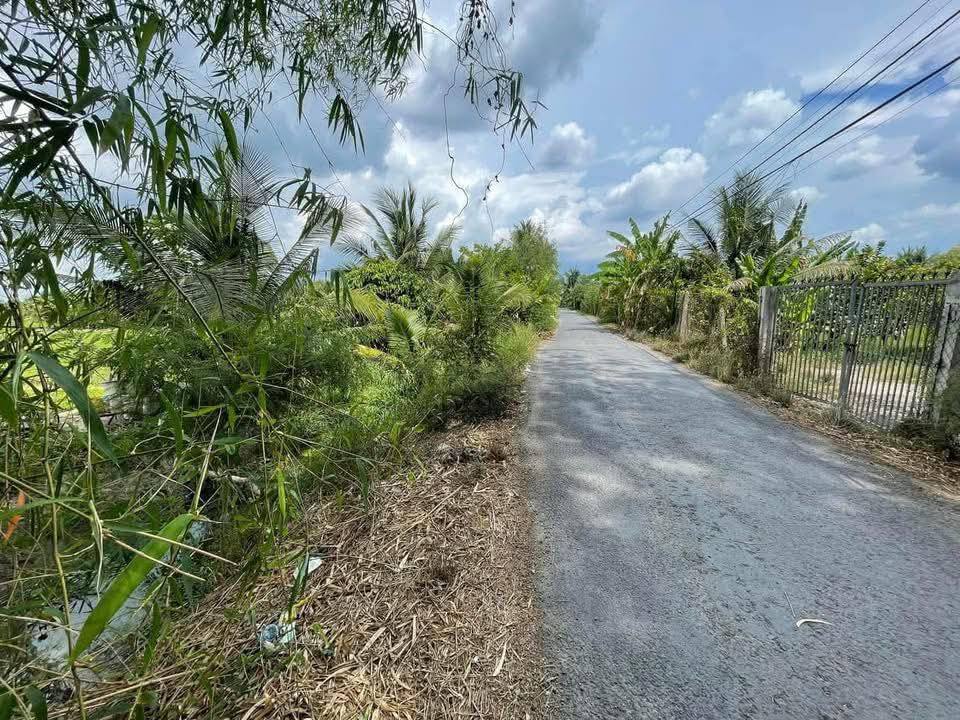 Đất nền Thạnh Phú, Châu Thành, Đồng Tháp 140m² giá chỉ 300 triệu - Đầu tư sinh lời ngay!