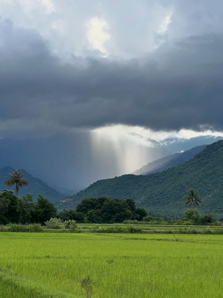 Nhà cấp 4 Thôn Tân Đức Tây - 151m² giá chỉ 500 triệu - Sẵn sàng vào ở!