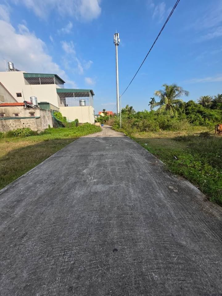 Đất nền chính chủ khu 8, Phường Hà An, 80.3m² - Đầu tư sinh lời ngay!