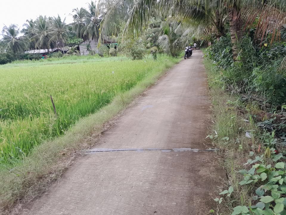 Đất mặt tiền 10000m² xã An Trường, Vĩnh Long chỉ 2 tỷ - Đầu tư sinh lời ngay!