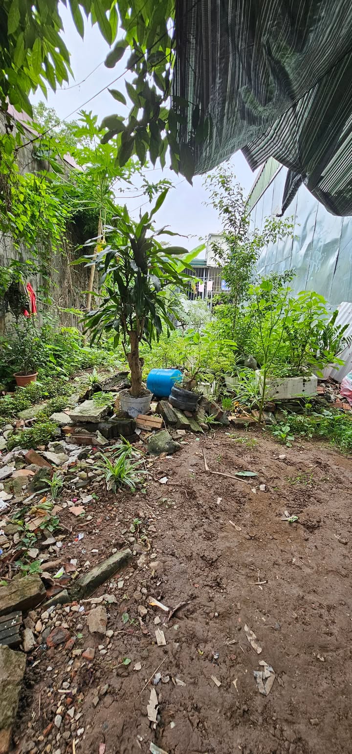 Đất nền Đại Thanh, Thanh Trì 30m² - Sổ đỏ chính chủ, bán gấp giá tốt!