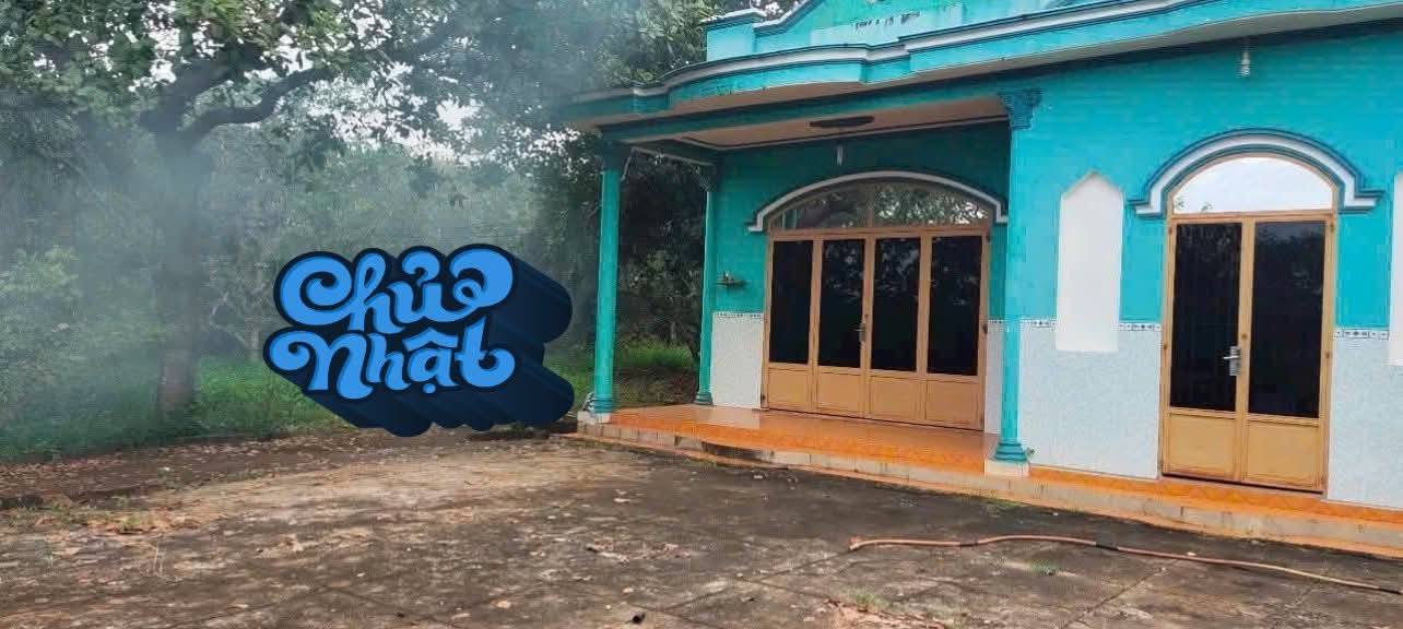 Đất thổ cư 100m² xã Bàu Lâm, Xuyên Mộc 6000m² - Giá thỏa thuận hấp dẫn!